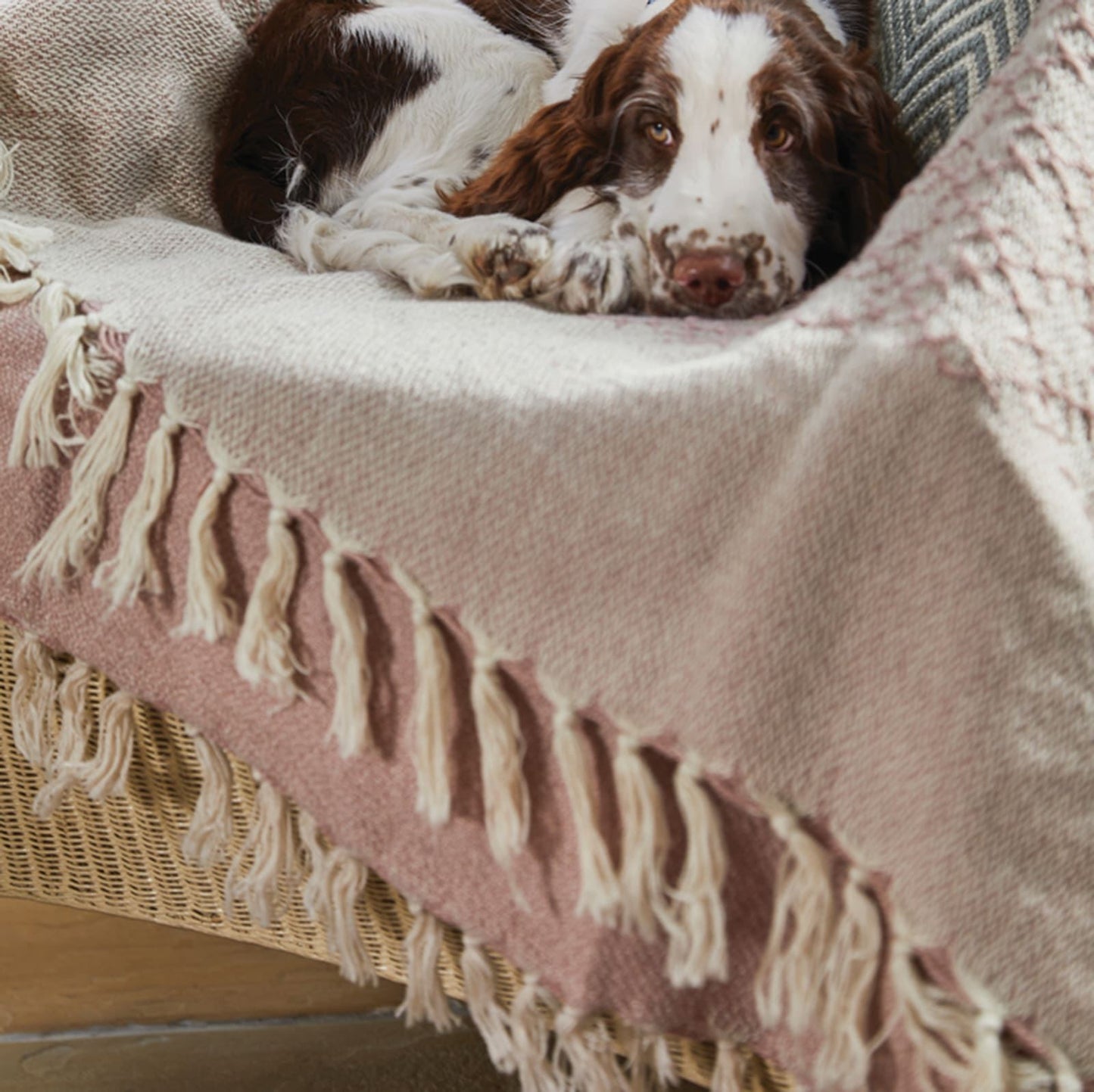 Hug Rug Woven Trellis Throw Rose 130X180 Rug