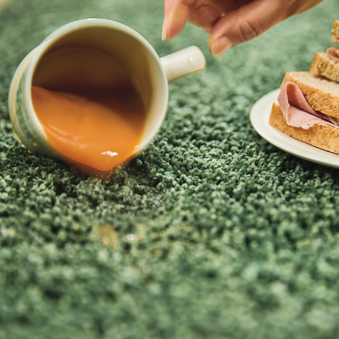 My Rugs Forest Green Plain Rugs