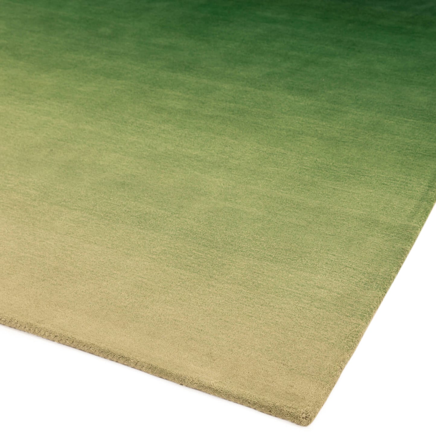 Asiatic Ombre Green Rug