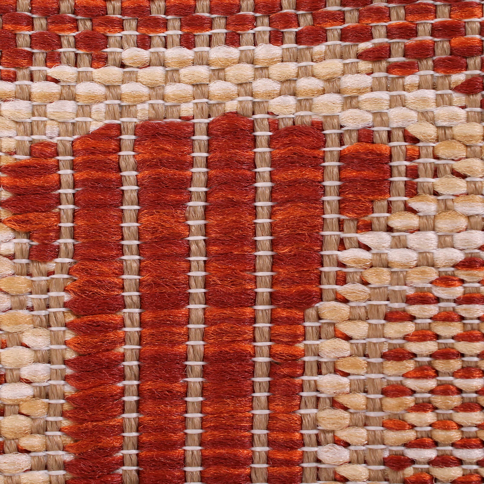 Rug Style Terrace Dragonfly Terracotta Rug