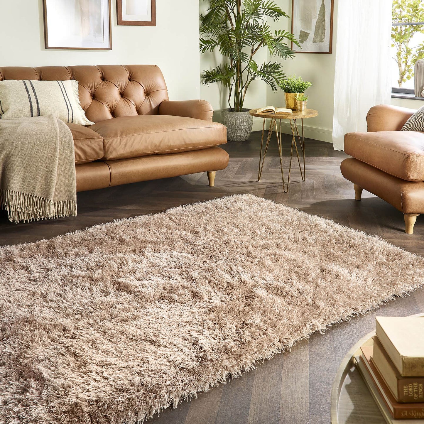 Ritzy Latte Shaggy Rugs