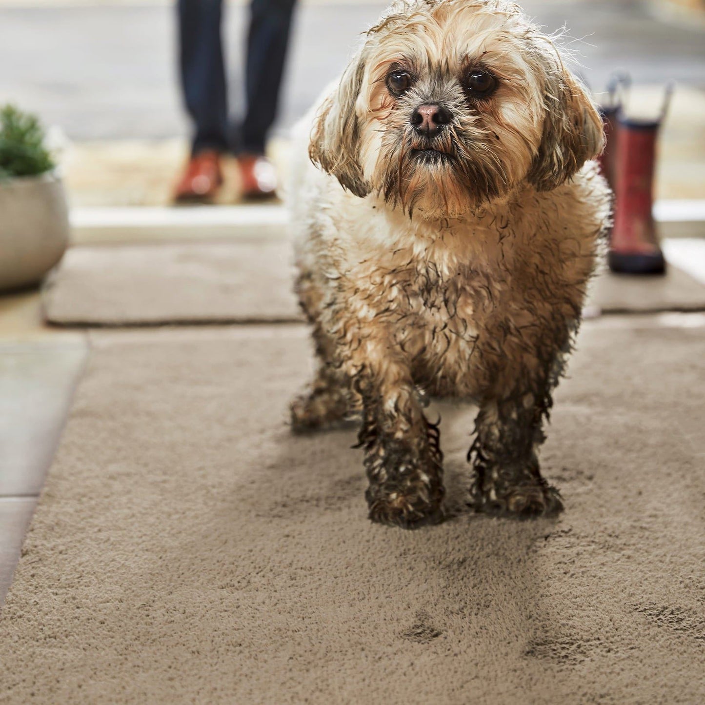 Hug Rug Sense Rugs Beige Rug