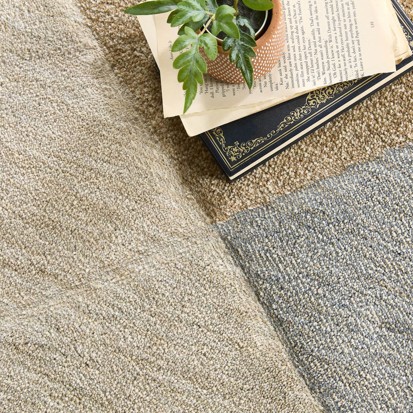 Notion Multi Modern Rugs